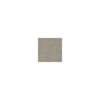 Parchment Polyester  Sleeper - Queen - 85"W